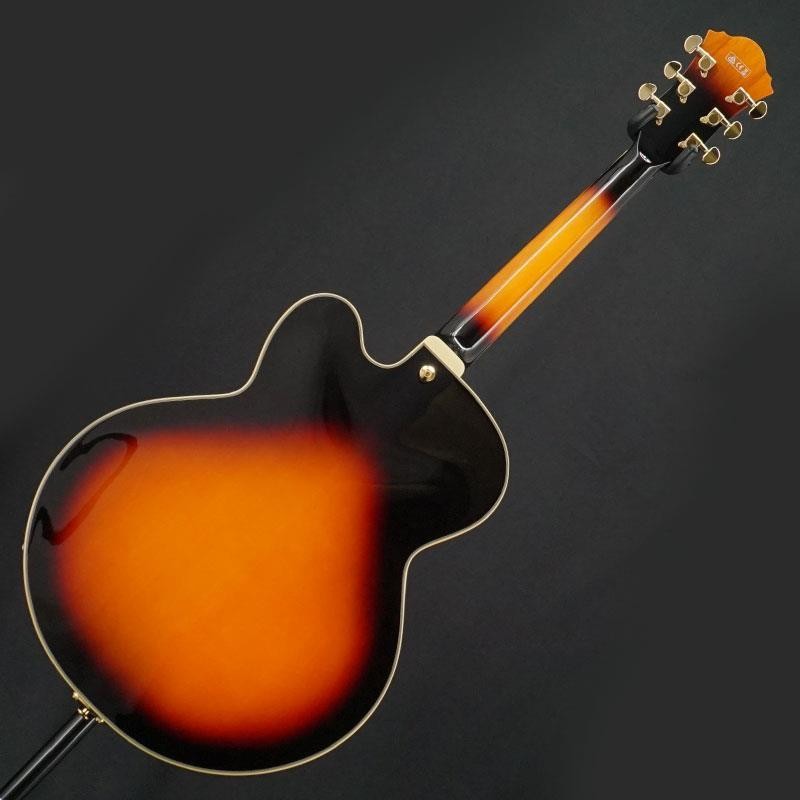 Ibanez ​​AF95 [SN.PW21020557] (no260313)