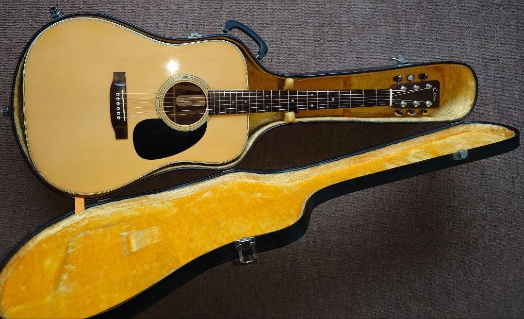 takamine Elite tw-30 acoustic guitar with hard case