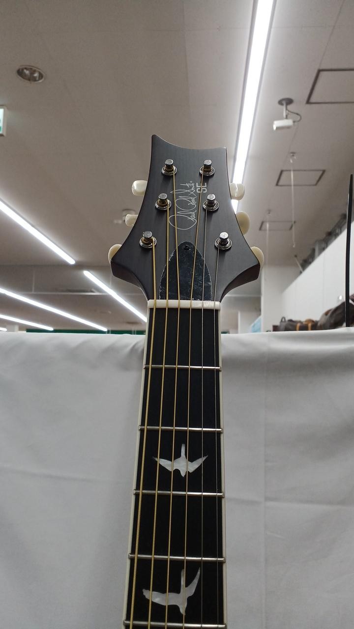 PAUL REED SMITH SE P20 Electric Acoustic Acoustic