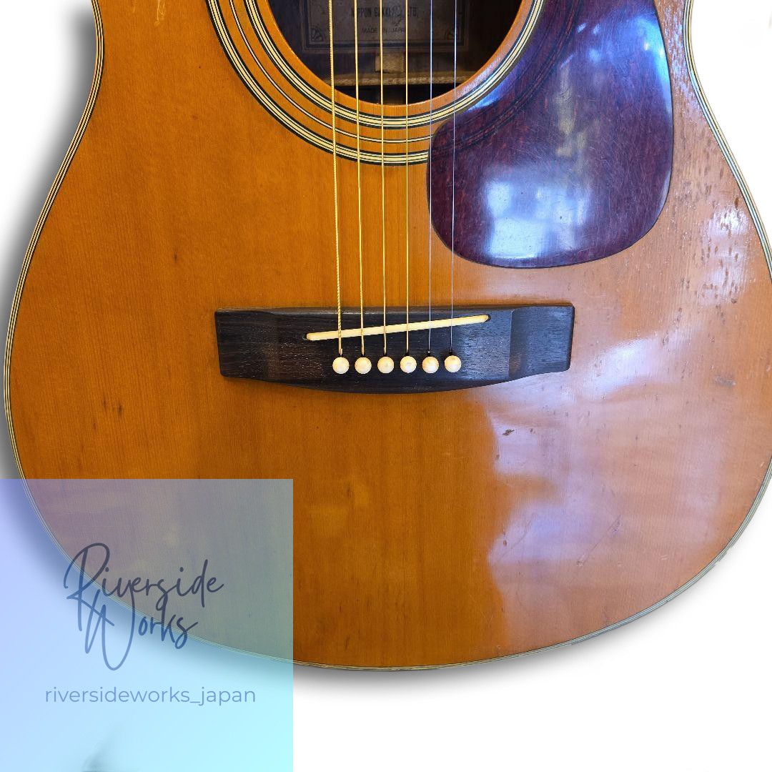 Rare YAMAHA FG-440 Green Label Vintage New Jacaranda