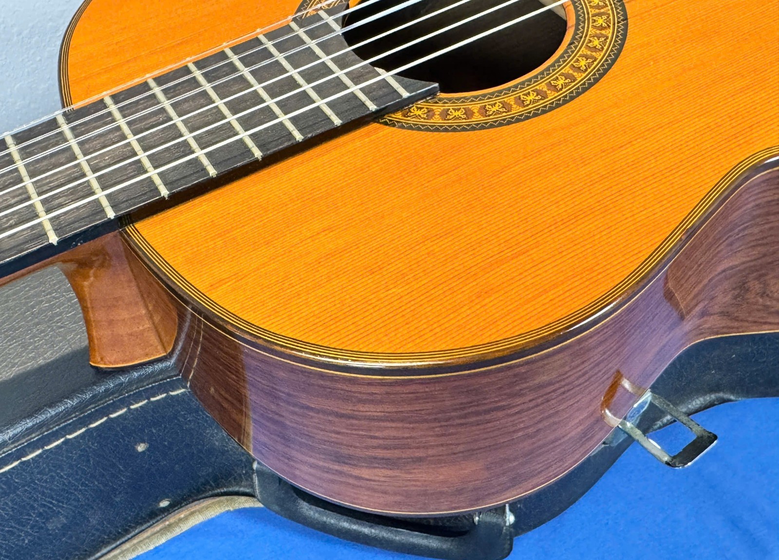 Fernandes GC-50 – Jacaranda – 1978-1979 – Good