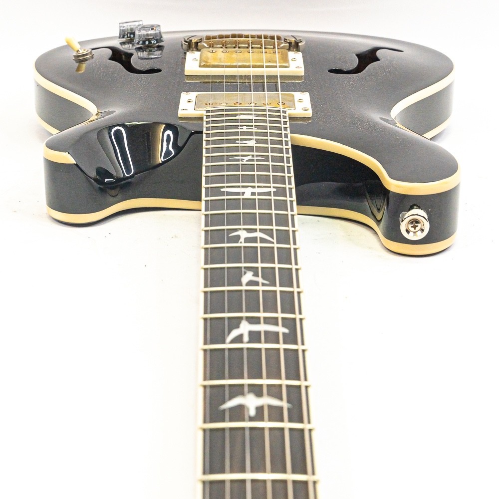 PRS SE Hollowbody Standard Guitar – Dog Hair Smokeburst w/ Case, Porter Pickups
