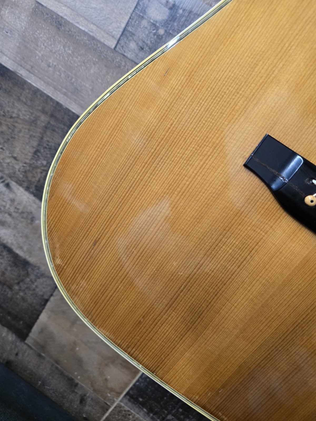 Vintage 1970s d’agostino D 60 acoustic guitar