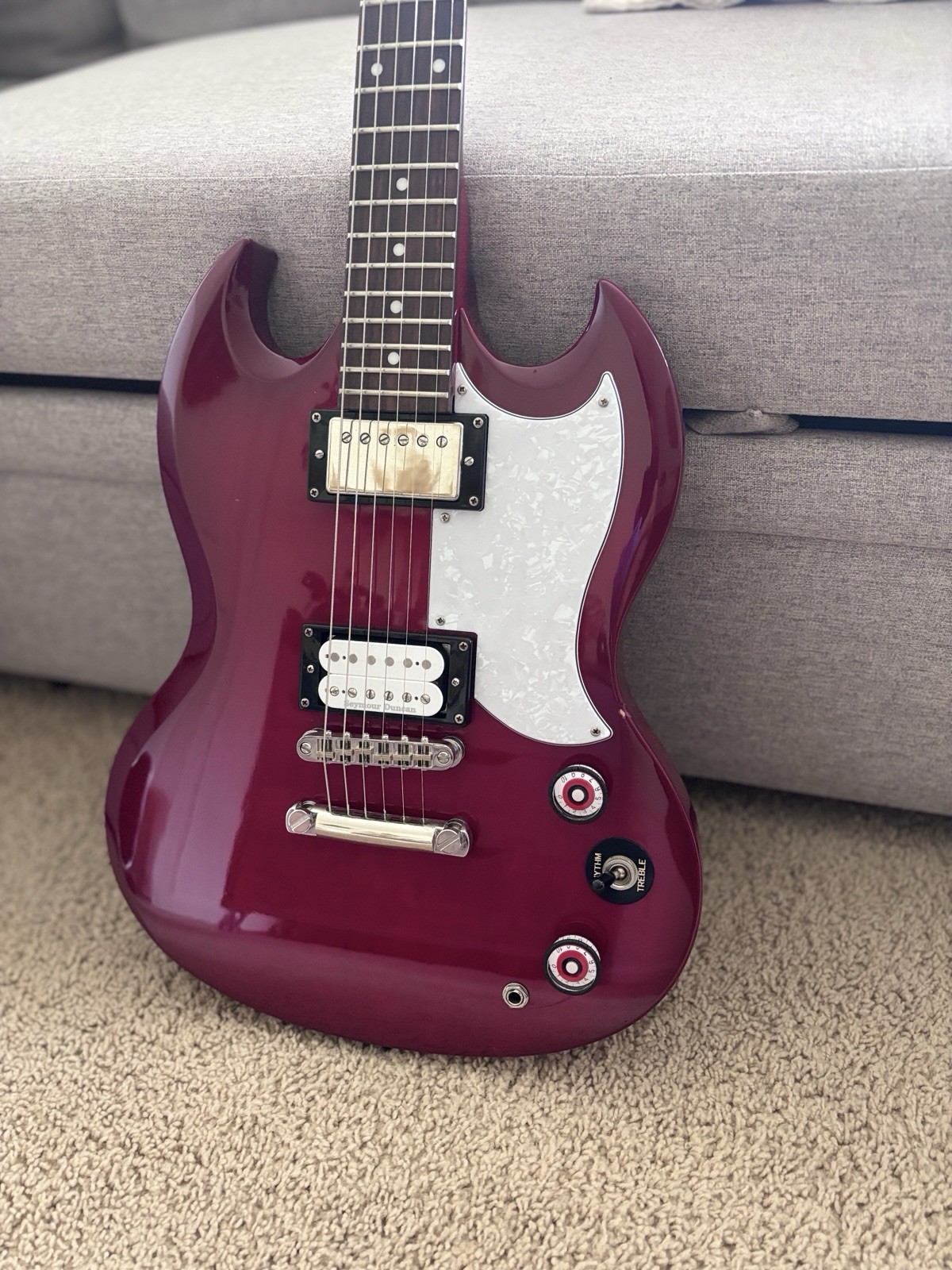 ⁠Custom 2007 Epiphone SG Standard MIK – Seymour Duncan Pickups,upgrade&hardcase