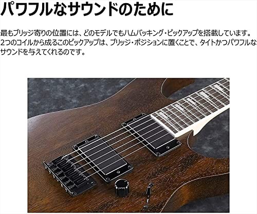 GIO Ibanez Beginner’s Electric Guitar Black Flat GRG121DX-BKF From Japan