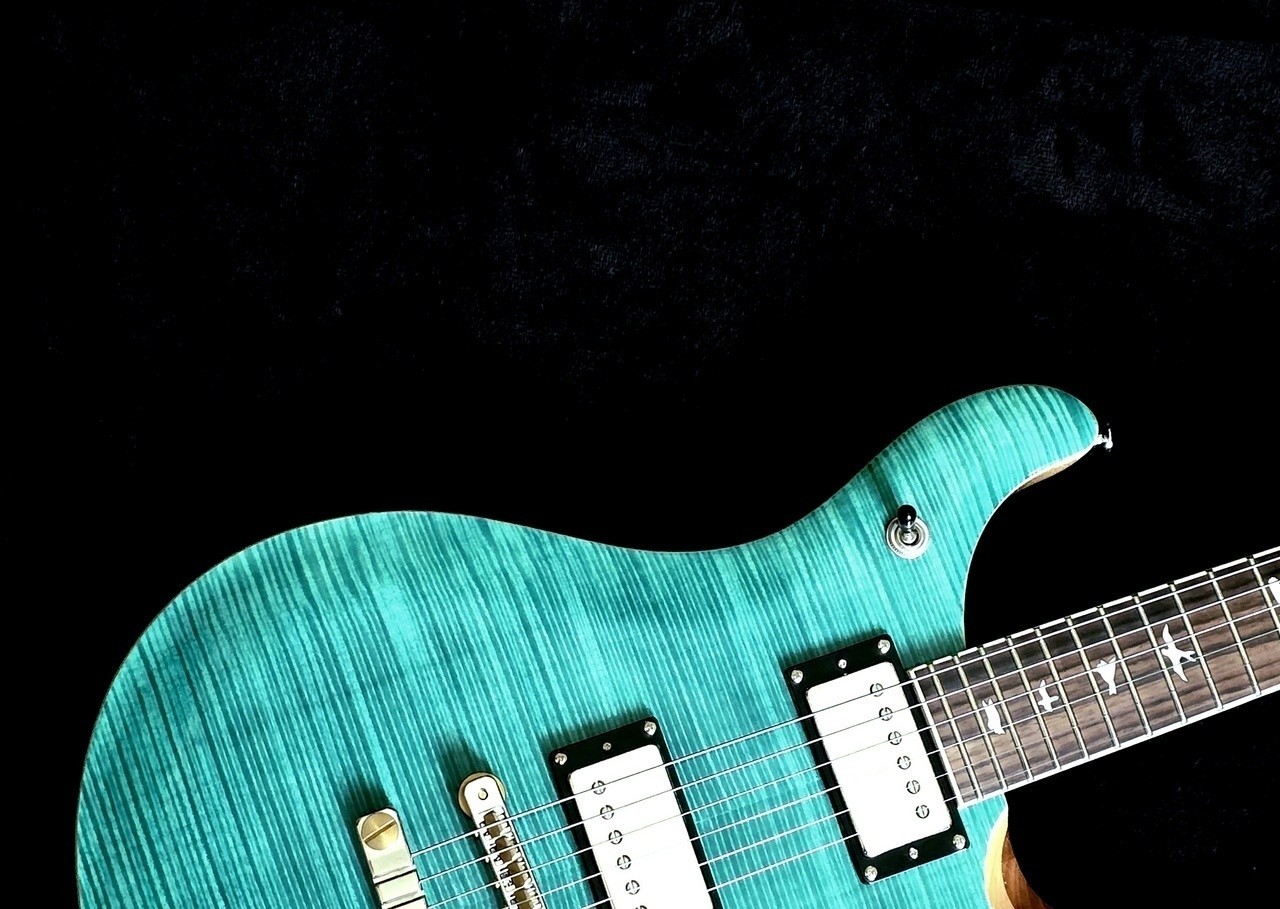 Paul Reed Smith PRS SE McCarty 594
