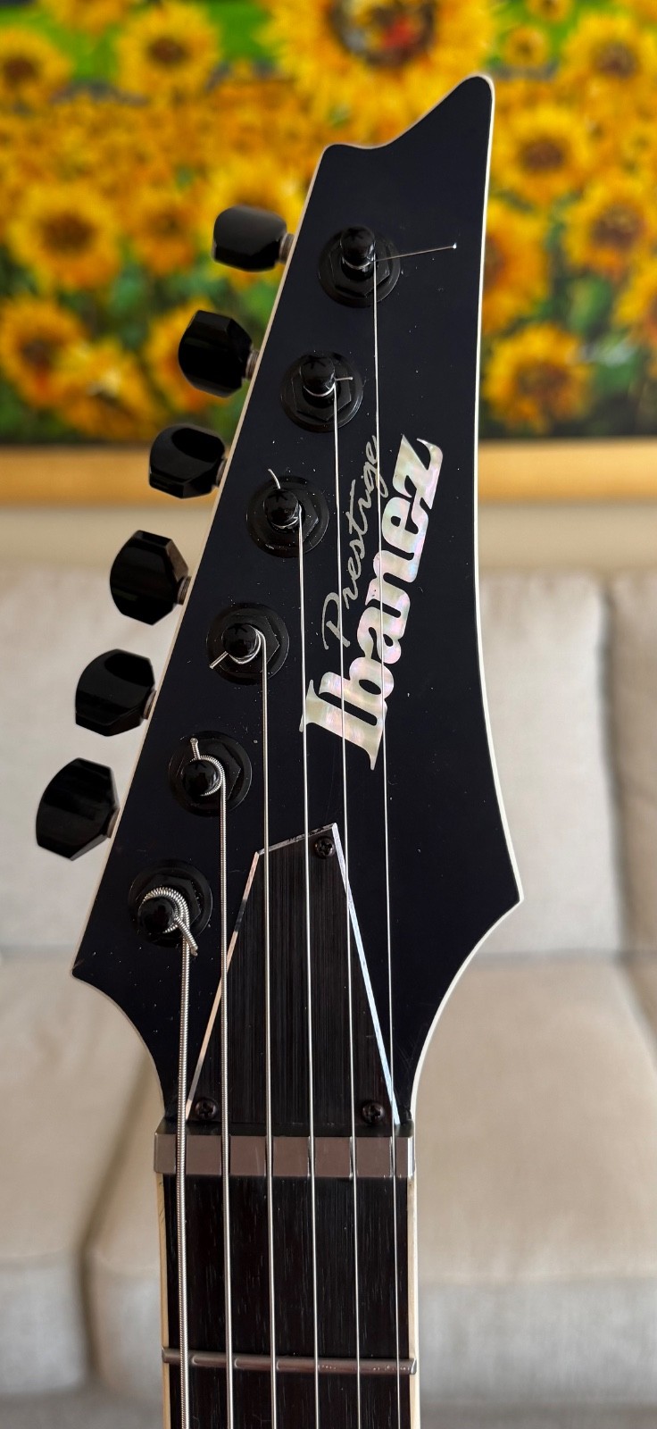 Ibanez RGR5000 Series Guitar