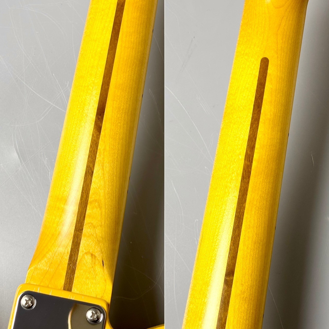 KING SNAKE Sidewinder CC -Butterscotch Blonde- #0229 TL #GGcy7