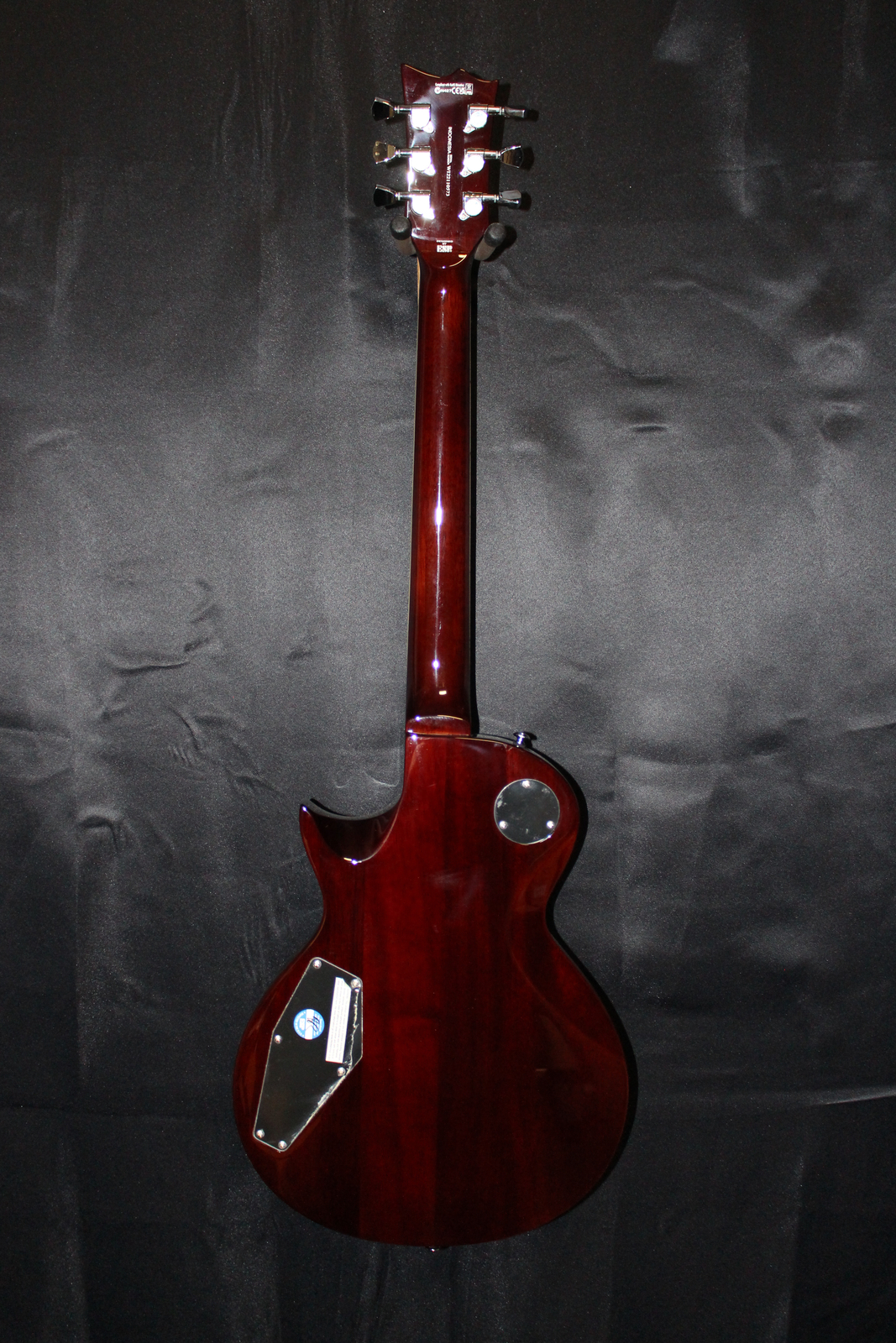 ESP EC-256FM With ESP Case