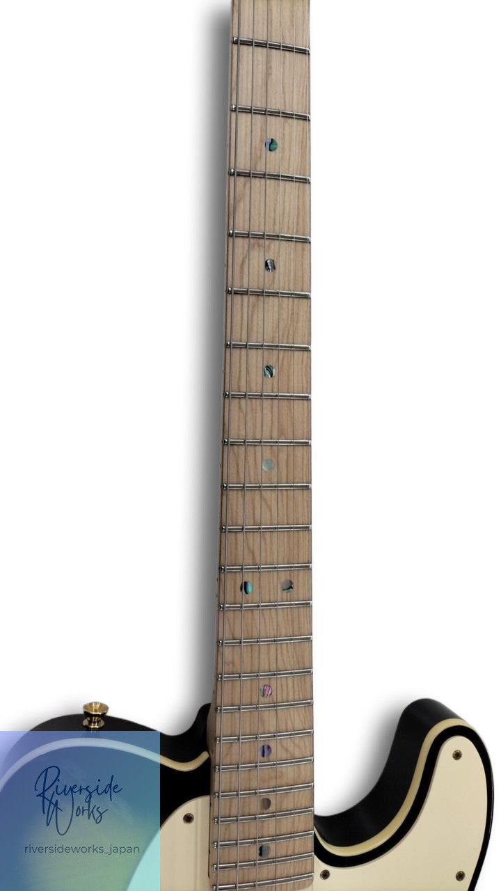 FENDER JAPAN Electric Guitar RICHIE KOTZEN TELECASTER