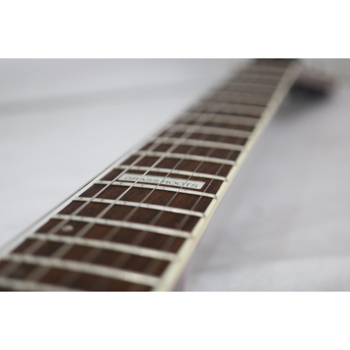 Authentic GRASSROOTS GC-60V #270-004-287-9920