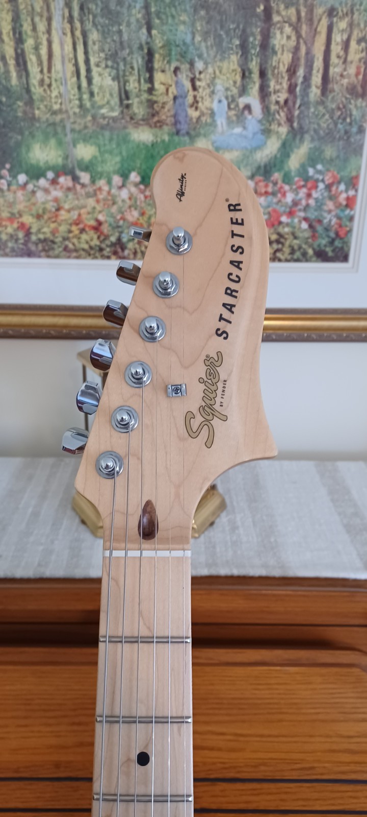 New Fender Starcaster Hollow Body Guitar with New Padded Gigbag