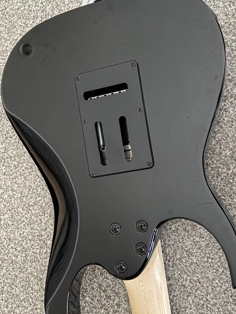 Ibanez RGV250 Black Electric Guitar