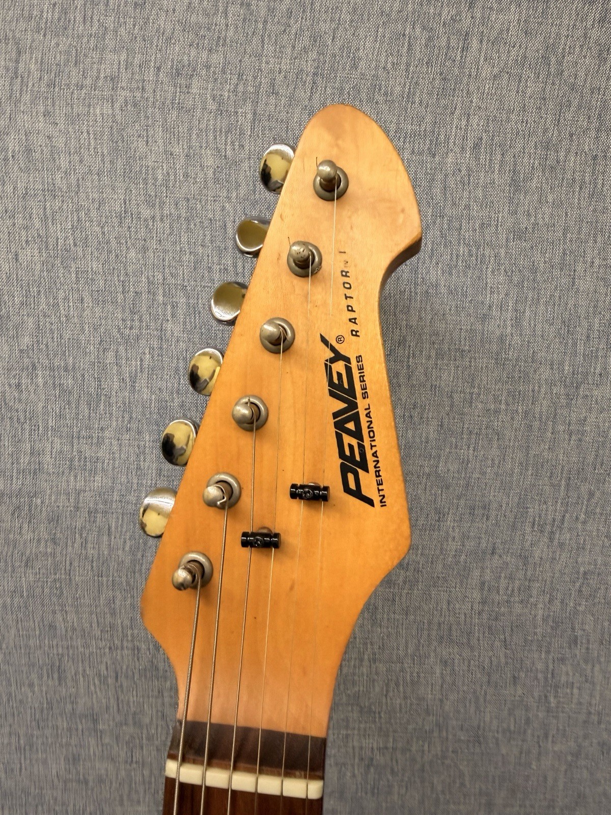 Peavey International Series Raptor 1 Electric Guitar With Hard Case