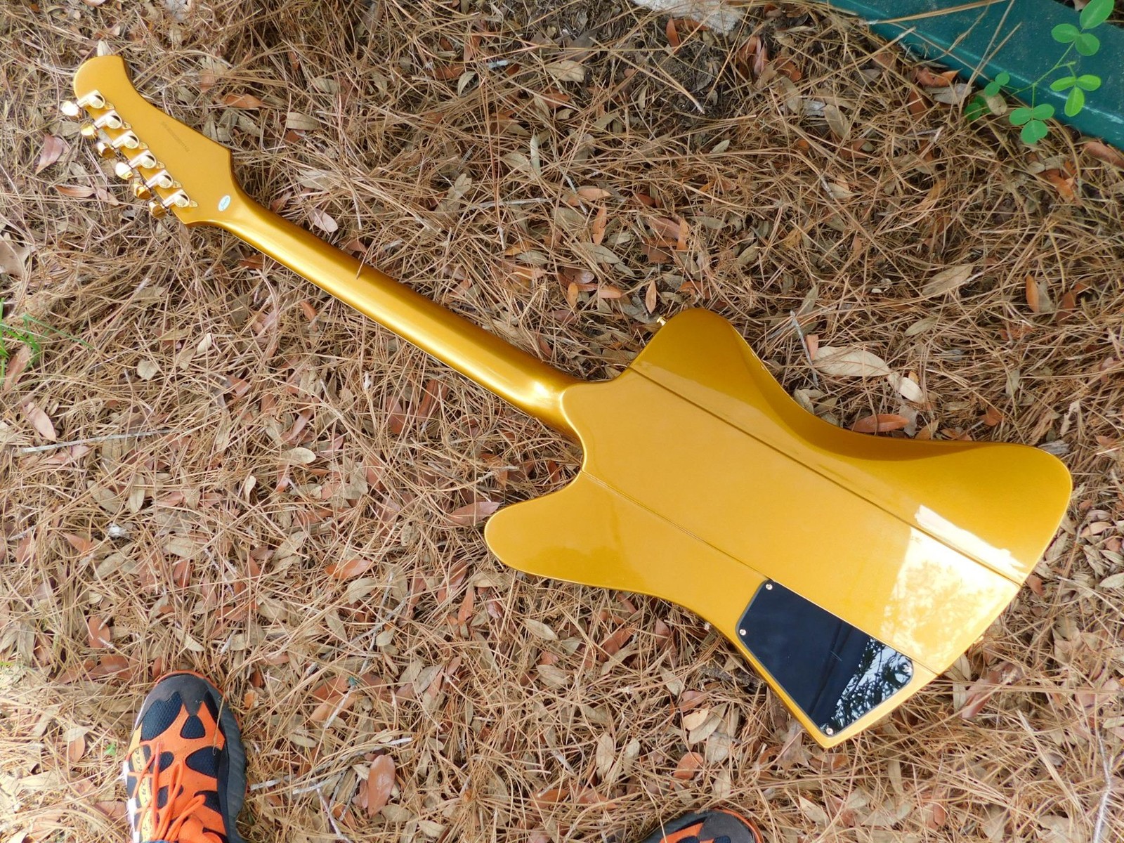 Firefly Firebird Set Neck Electric Guitar,Paper in Oil Capacitors, Very Cool