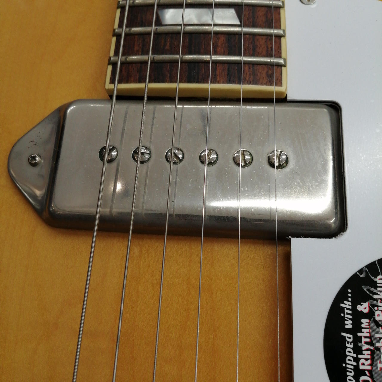 EPIPHONE 1965 CASINO NA Electric Guitar