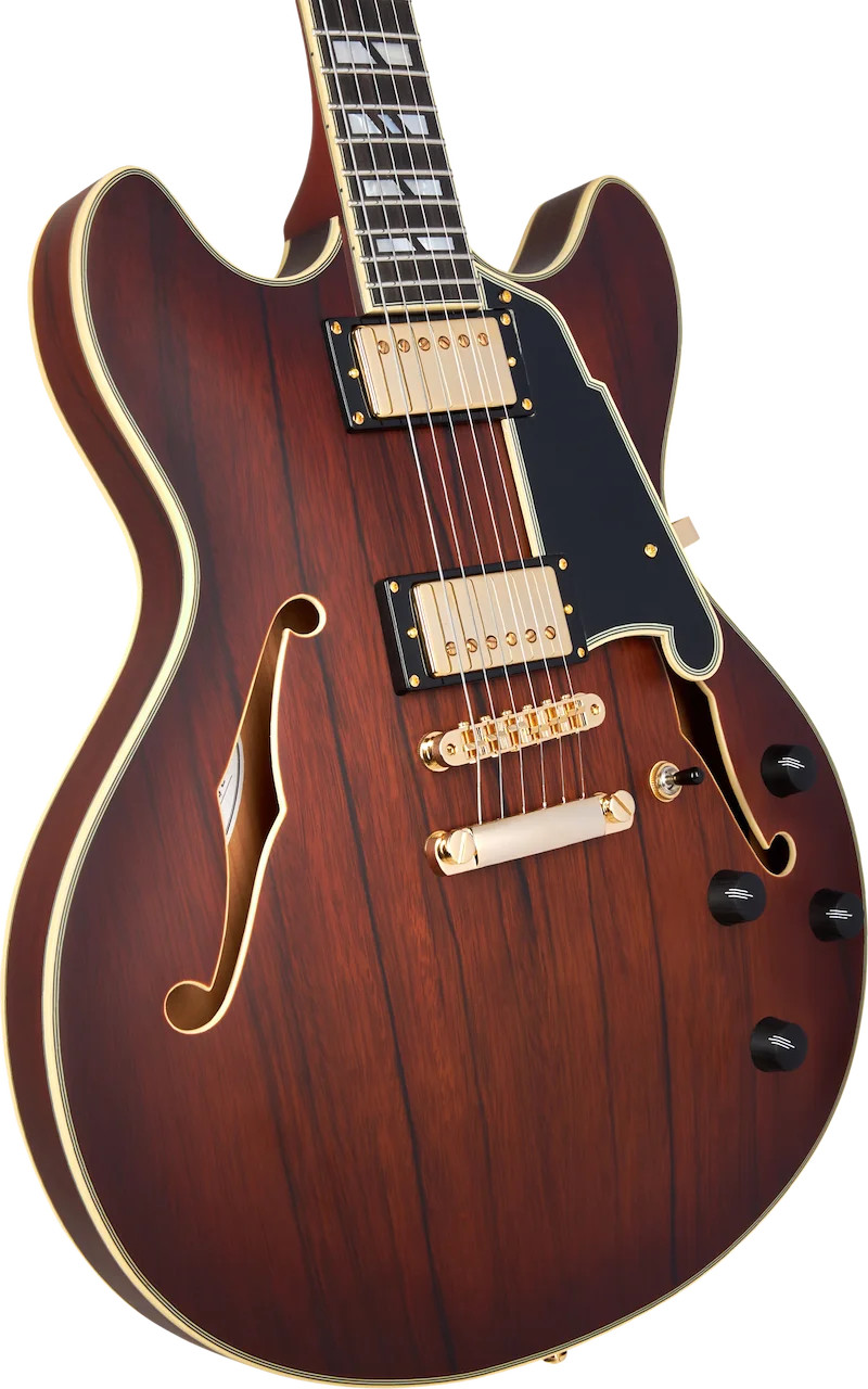 D’Angelico Deluxe DC Semi-hollowbody Electric Guitar – Satin Brown Burst