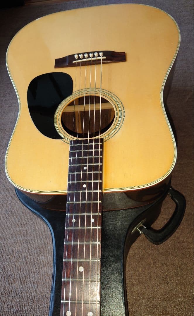takamine Elite tw-30 acoustic guitar with hard case