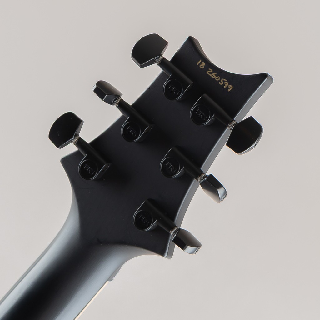 Paul Reed Smith Prs Dustie Waring Dw Ce24 Floyd Grey Black *Rz419
