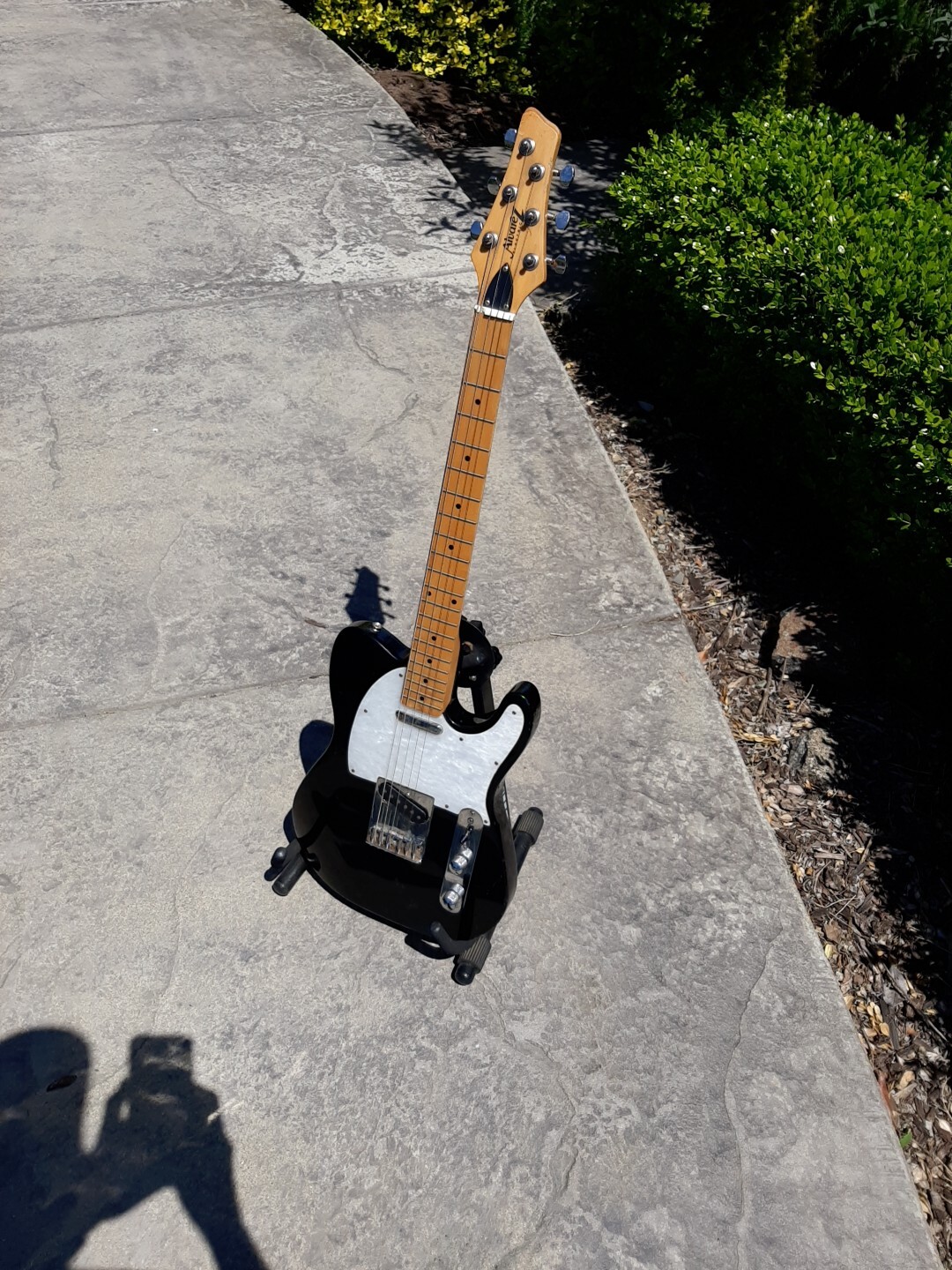 Rare Alvarez Electric Guitar With Soft Case Has Had Some Repairs Broken Nut