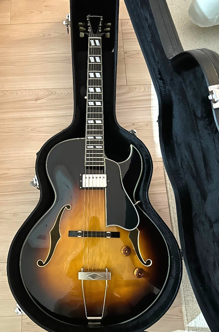Eastman Hollow Body Guitar AR-175CE Sunburst w/Hardcase