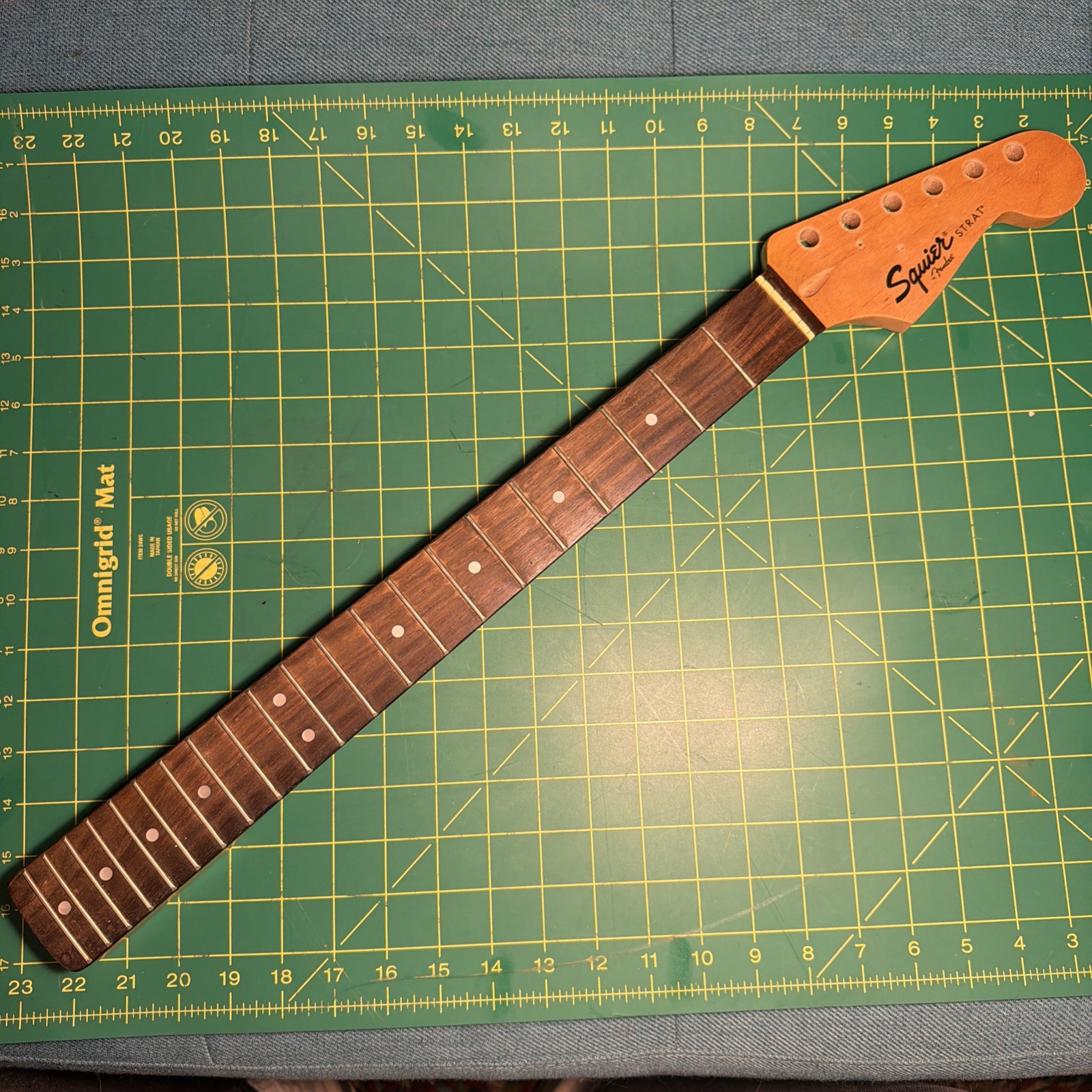 Fender Squier STRAT RHINO Electric Guitar neck maple rosewood 21 fret