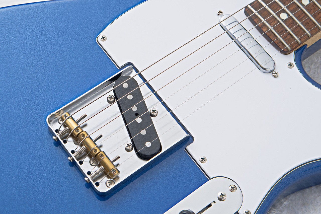 FUJIGEN FGN BCTE100RBD -Metallic Blue- MBL 3.52kg Recommended for beginners!!