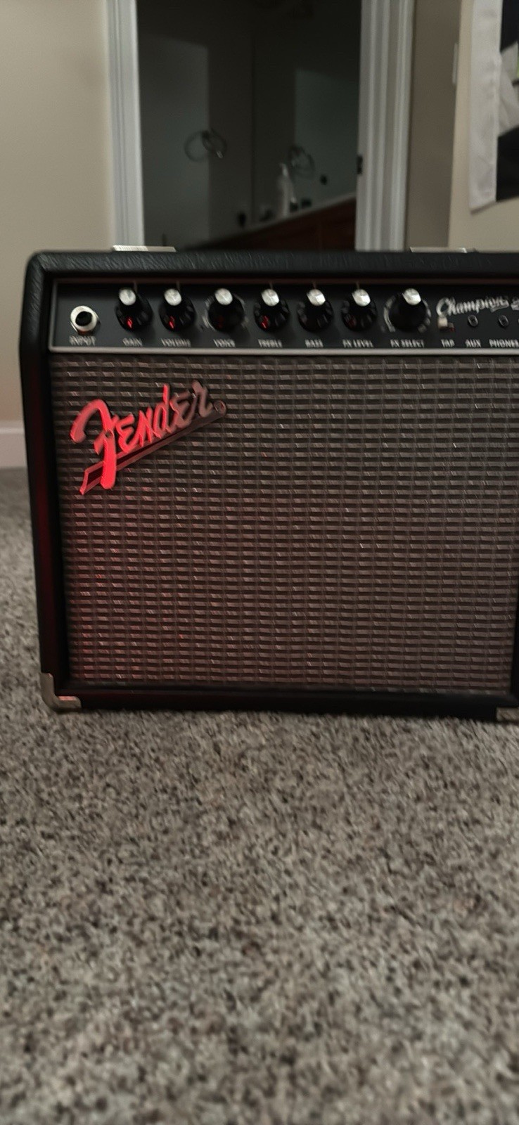 Electric Guitar, amplifier and amp cord, new strings, and tuner.