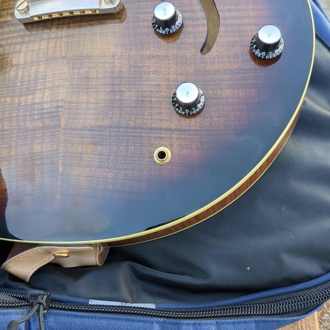 Michael Kelly Semi-Acoustic Guitar Special Gig Bag With Strap