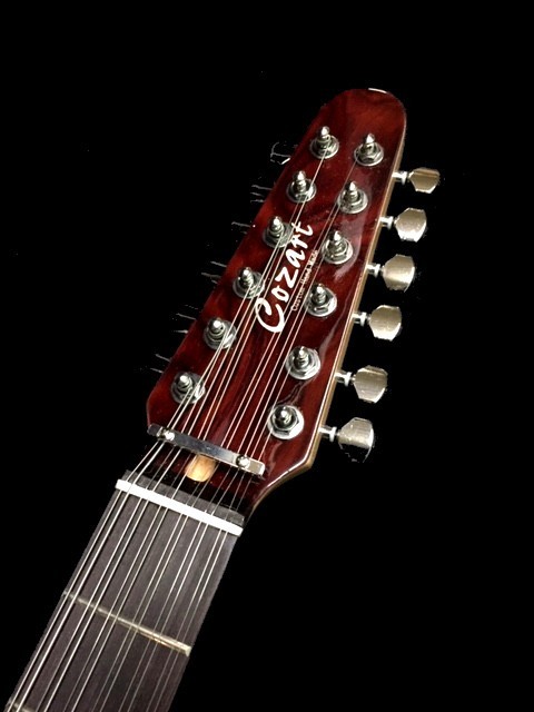 12 string electric guitar full-size exotic burl maple new telecaster style