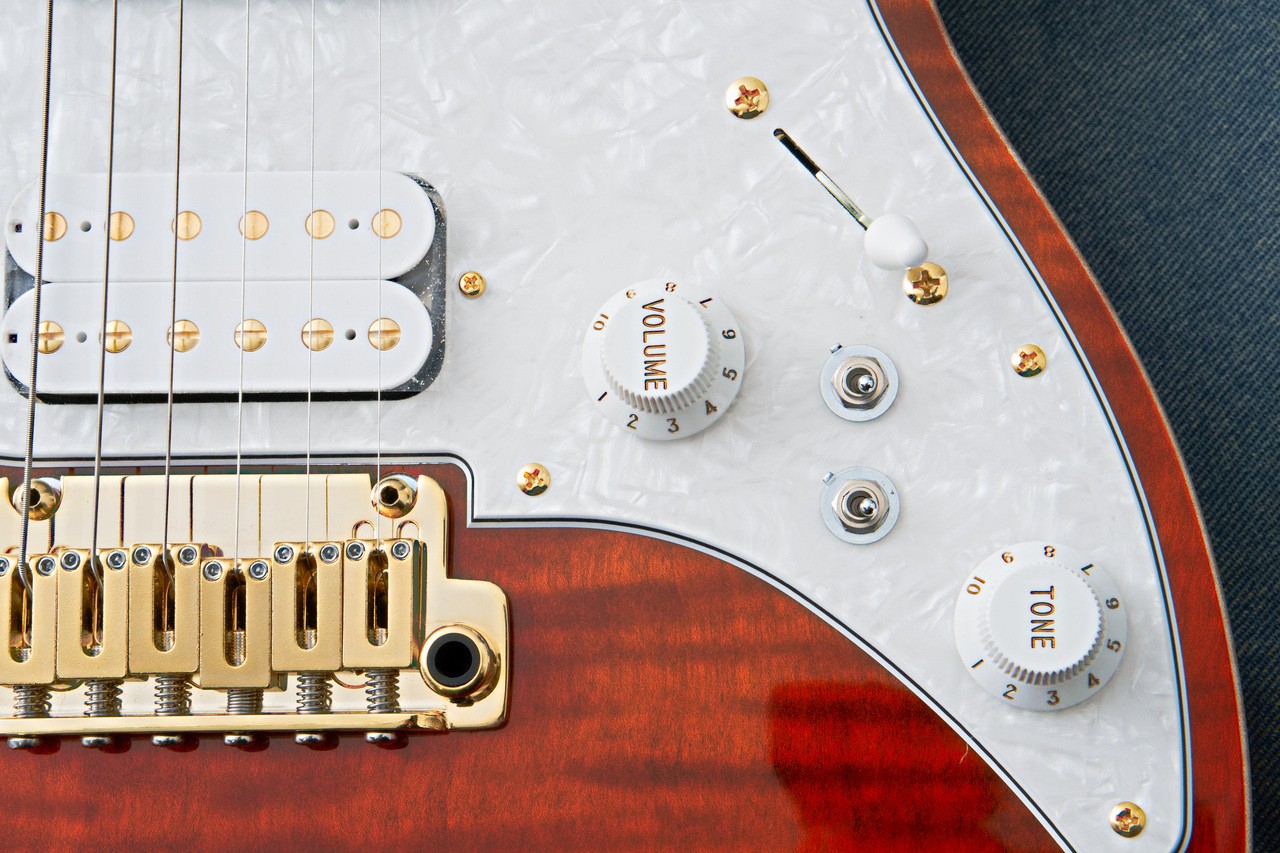 FUJIGEN(FGN) EOS2-FM-R -Ripe Kaki Gradation- RKG 3.75kg Made in Japan #GG1g1