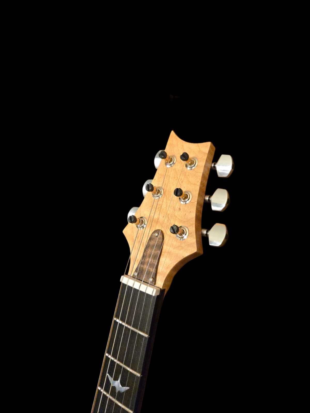 Wilder Guitars Kurly Kong – Handmade, A PRS Custom 24 Model