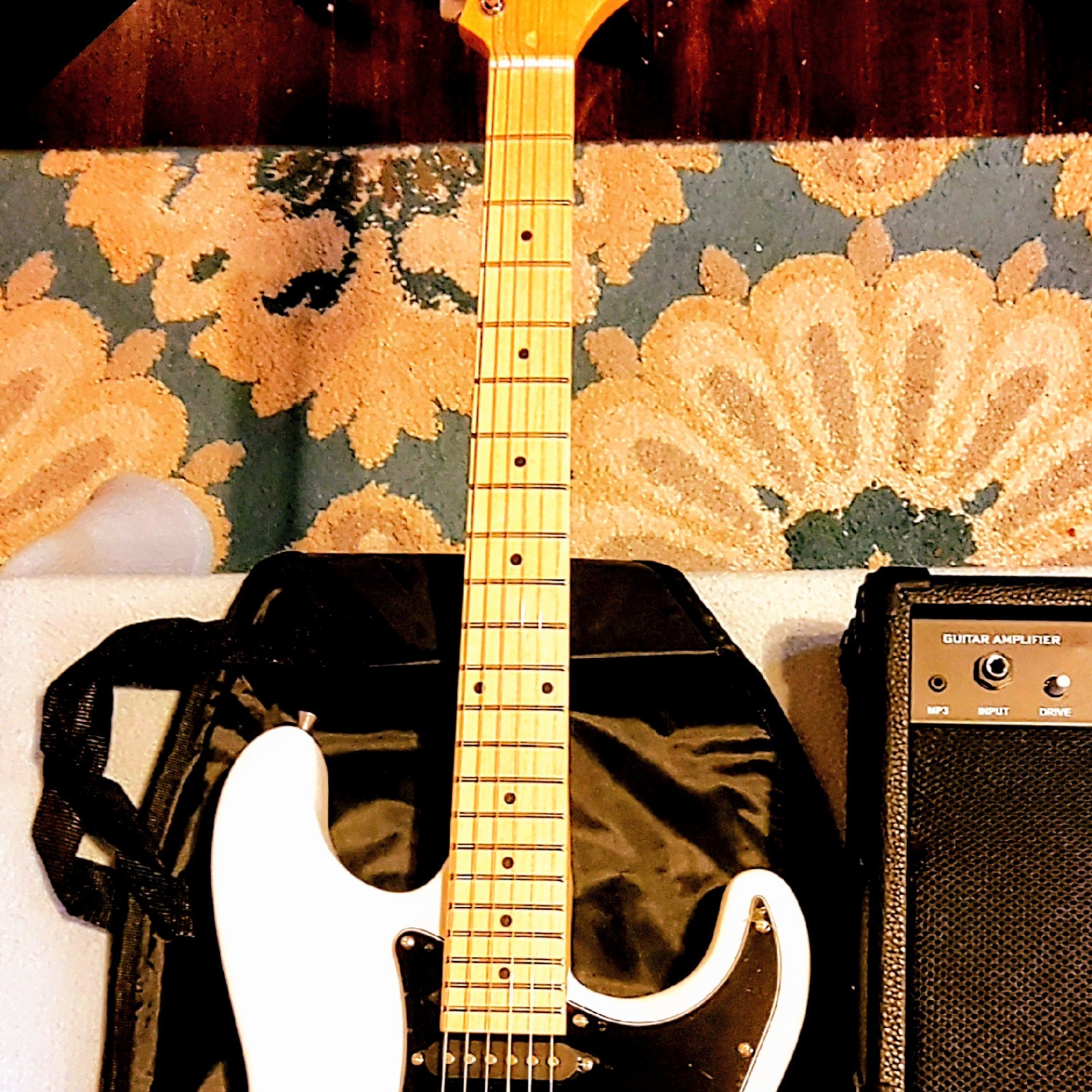 🎸HOLIDAY SPECIAL!🎸S Style Electric Guitar +Case/Bag +Strap +Cable +Strap!