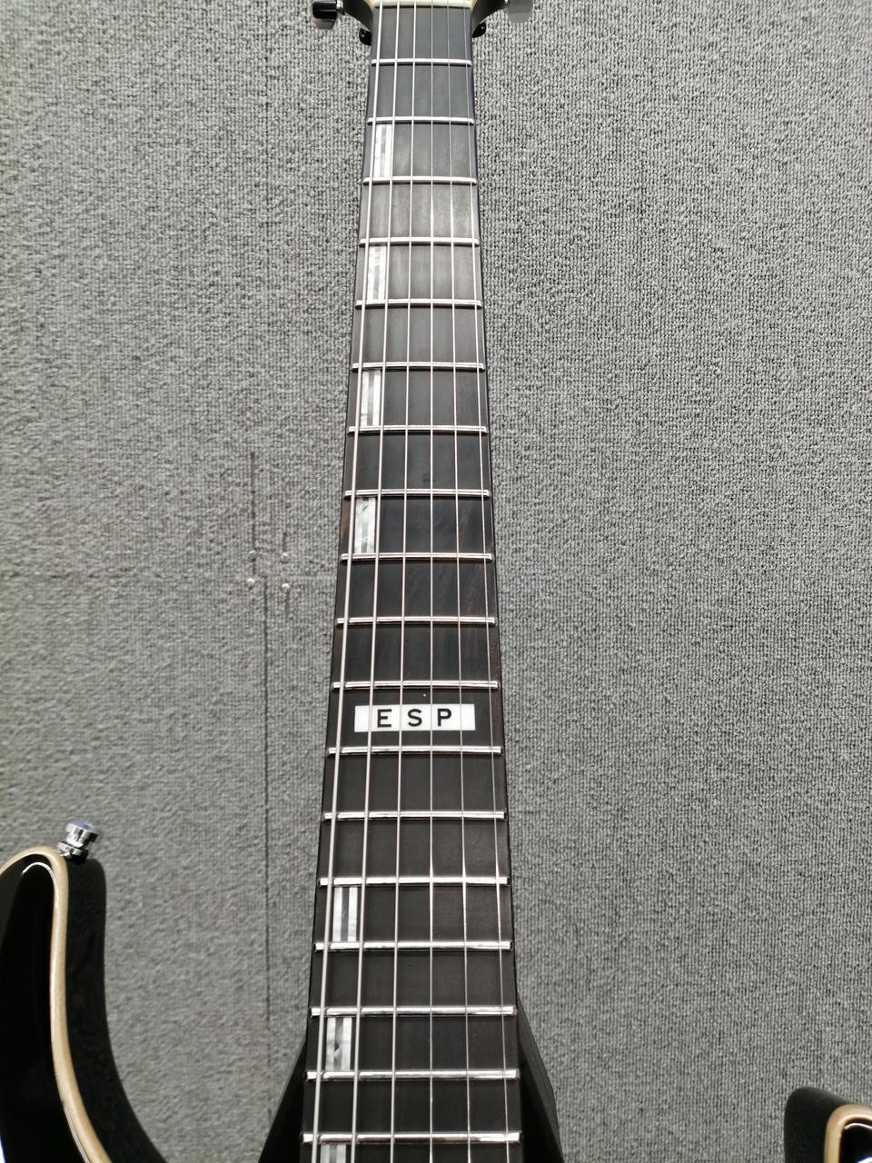 ESP E-Ⅱ HORIZON NT FM Electric Guitar