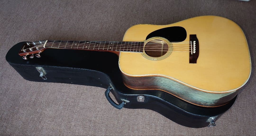 takamine Elite tw-30 acoustic guitar with hard case