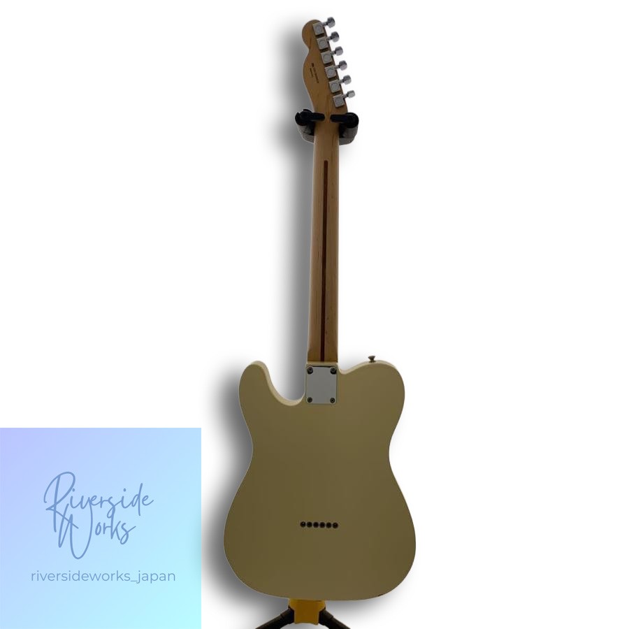 Fender American Special Telecaster 2013 Discolored Body Only