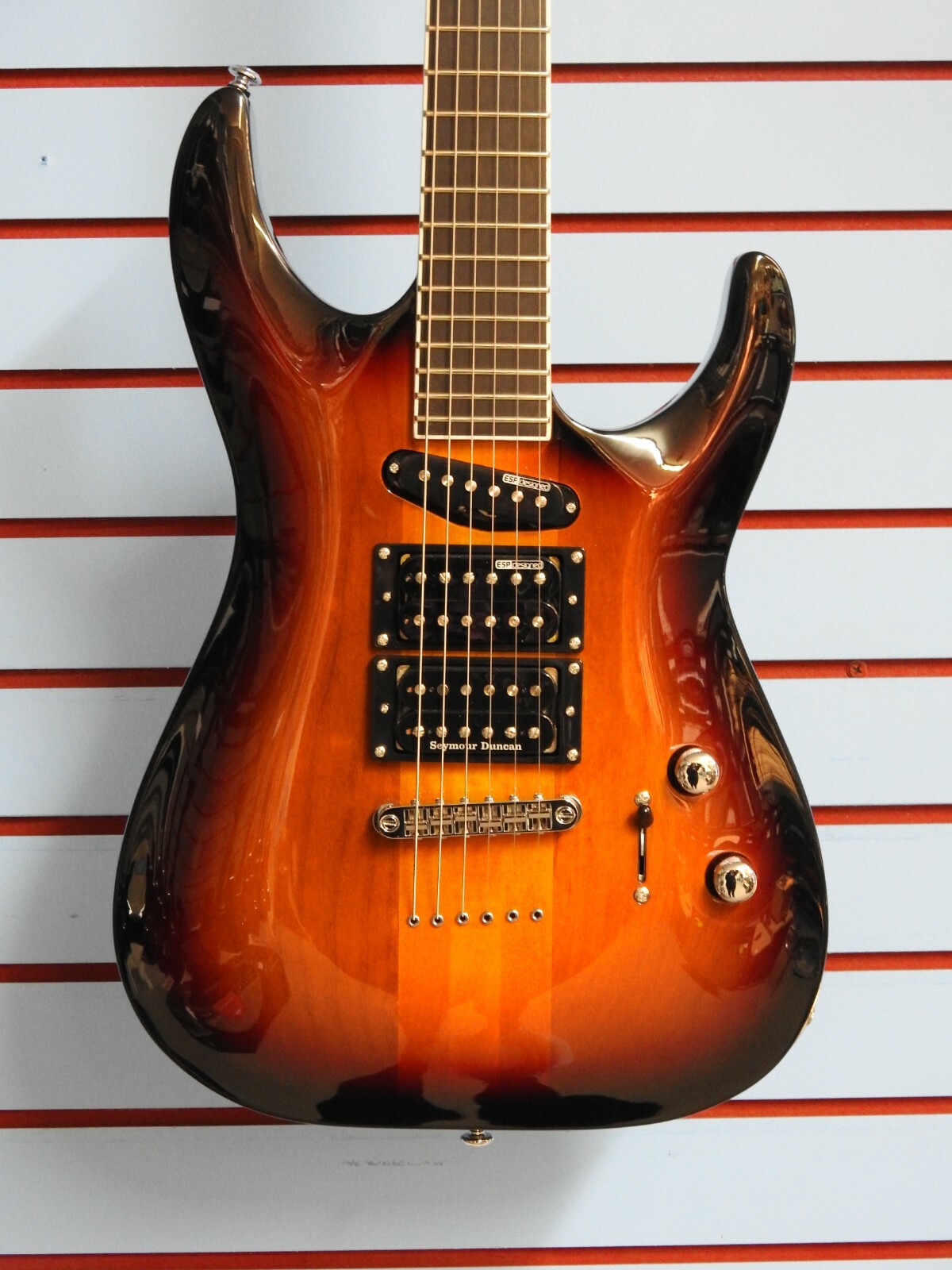 ESP LTD Stephen Carpenter SC-20 with Case