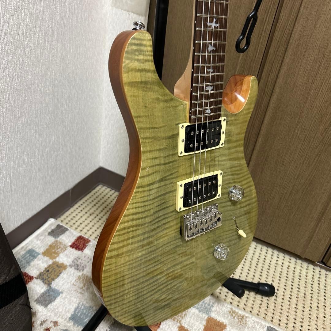 PRS SE Custom 24 Electric Guitar Safe packing!