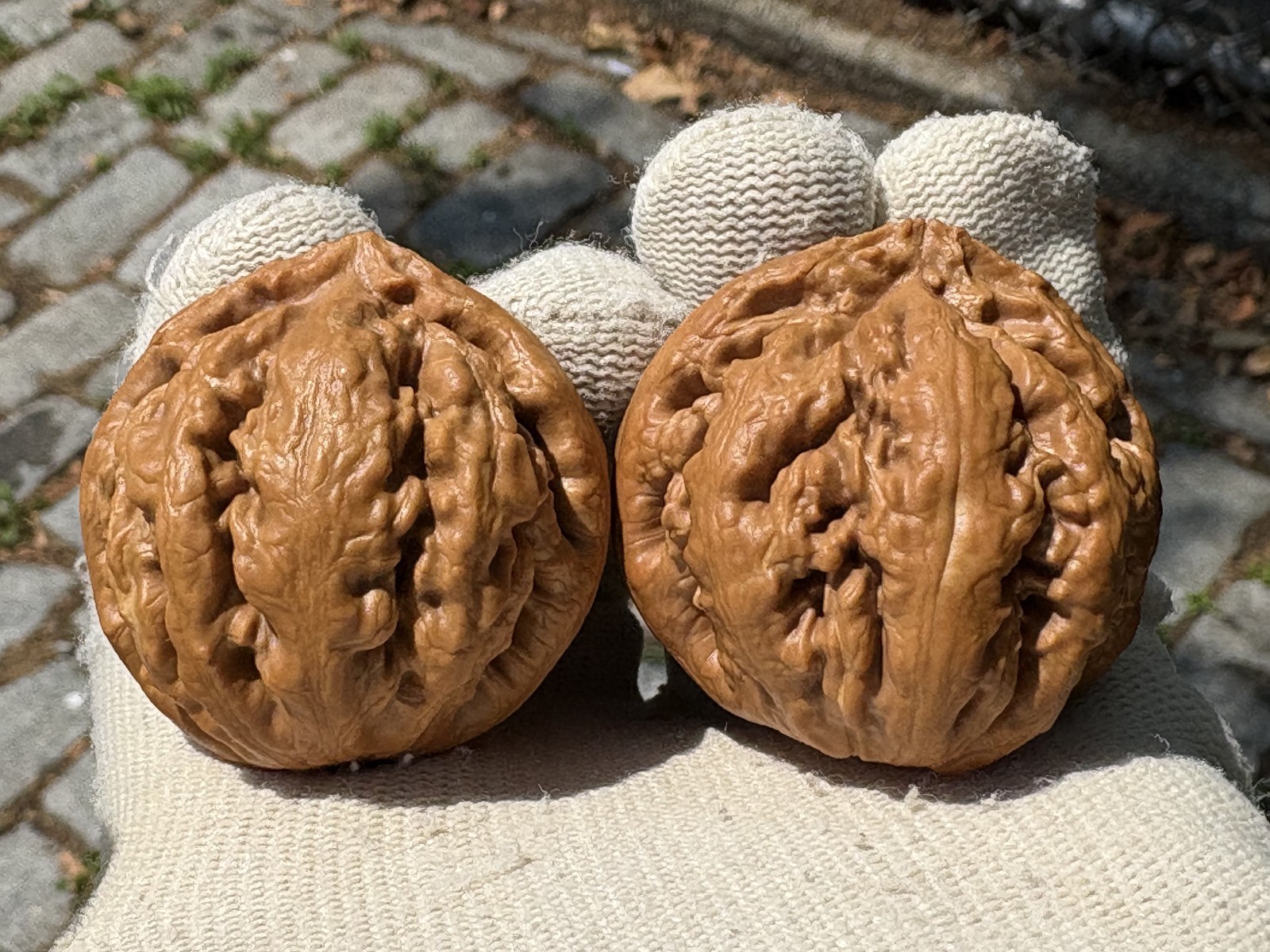 Hand Massage ball Wenwan walnut T-rex Thick Ridge Ba Wang Long Qiu Zi