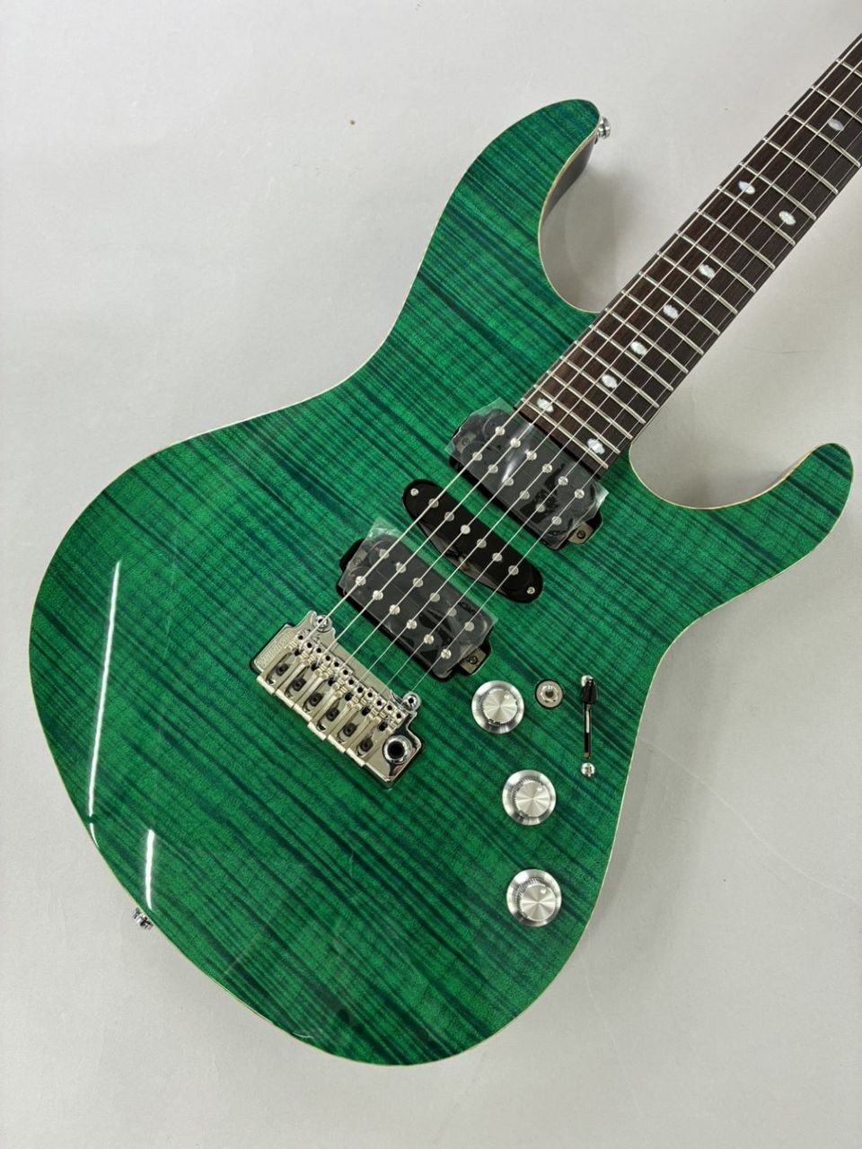 Freedom Custom Guitar RE C.S. Hydra 24F Electric Guitar