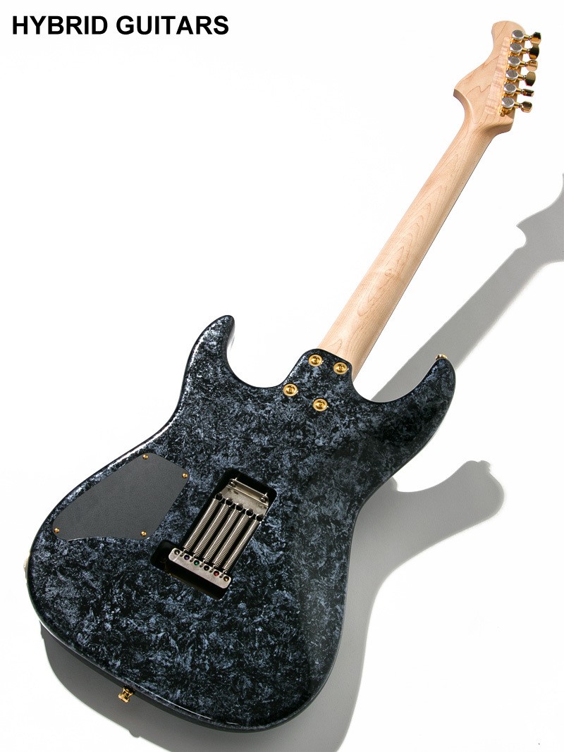 Red House Seeker S Alder/R Warp Blue Black 2020 Used Guitar
