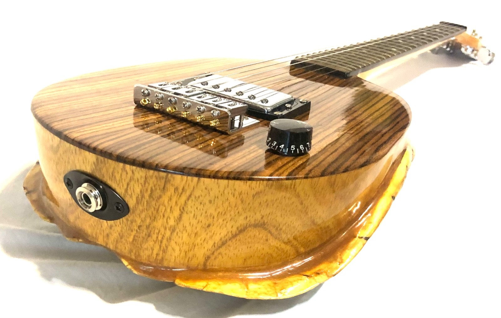 Turtle Shell Electric Guitar