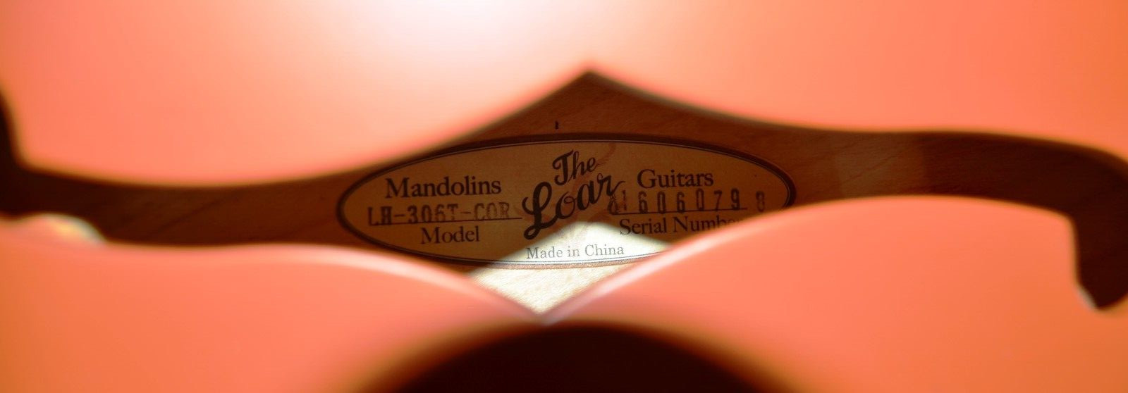 The Loar Thinbody Archtop electric guitar hollowbody – Orange LH-306T Bigsby