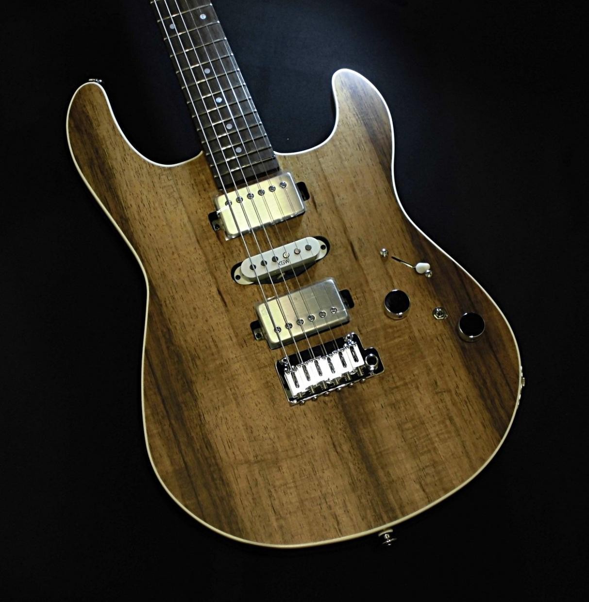 Kz Guitar Works Shin Kitaro Black Wood Top Electric Guitar HSH Pickups Used