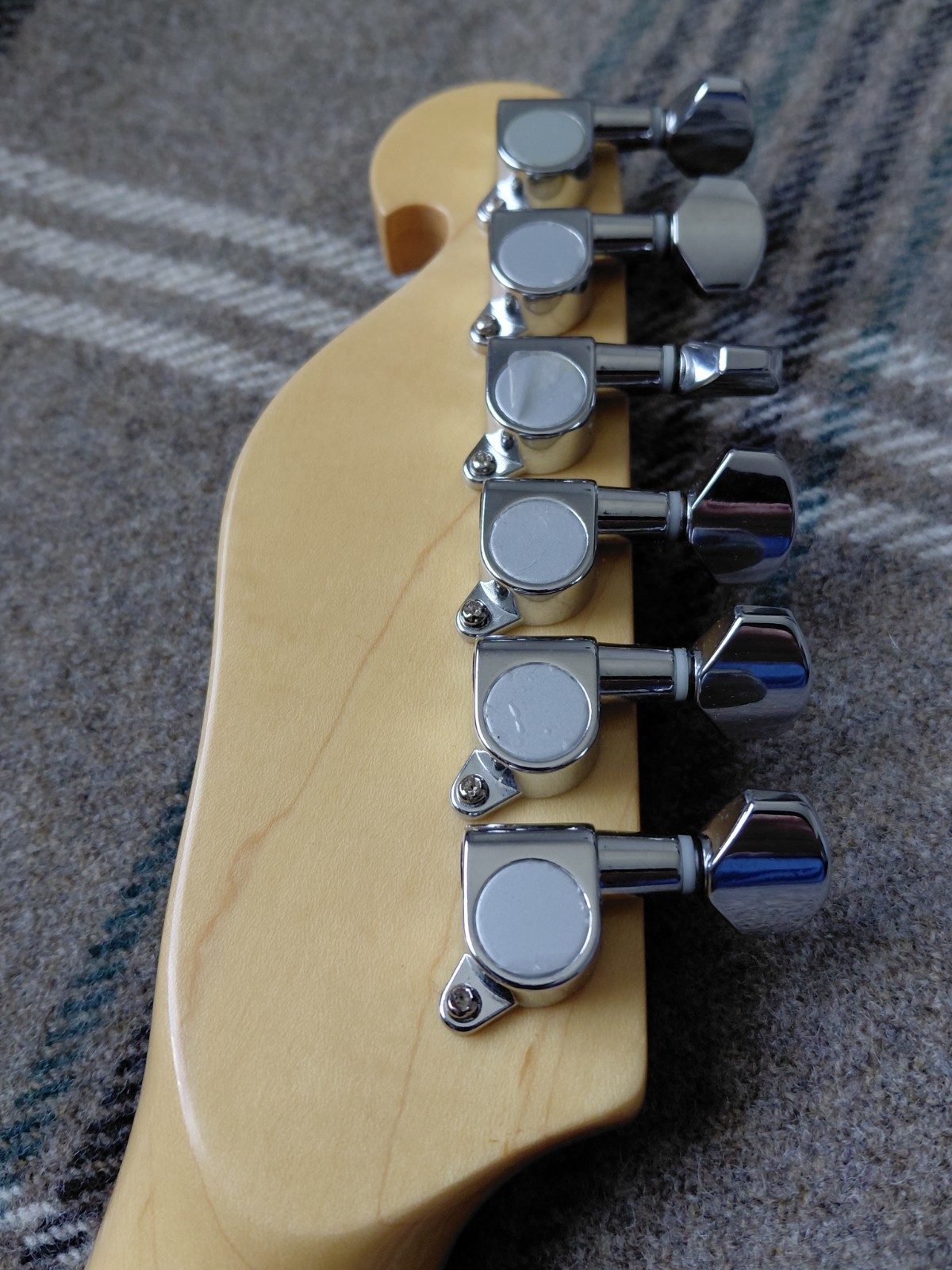 Bill Lawerence Swampcaster