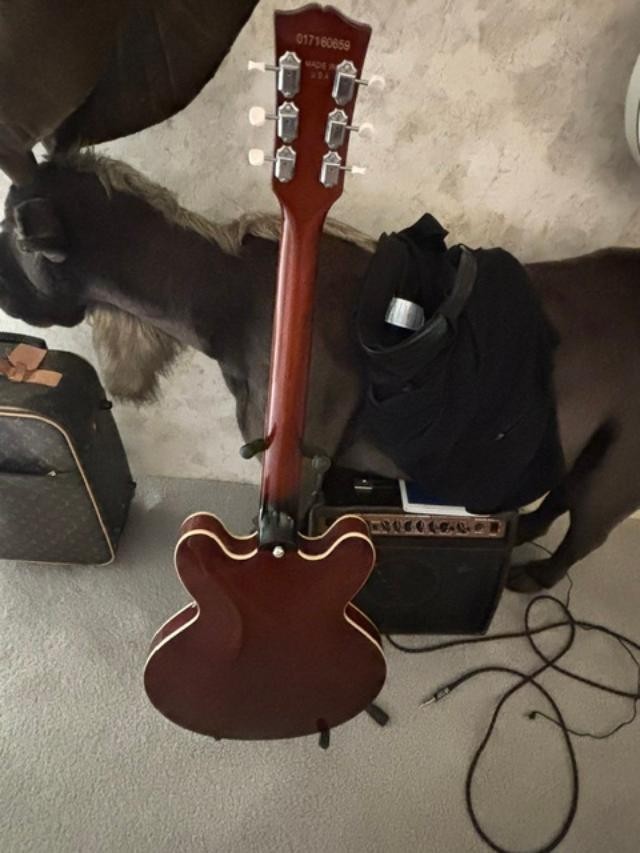 Semi-Hollow Body Electric Guitar 335 with F-Hole P90 pickups