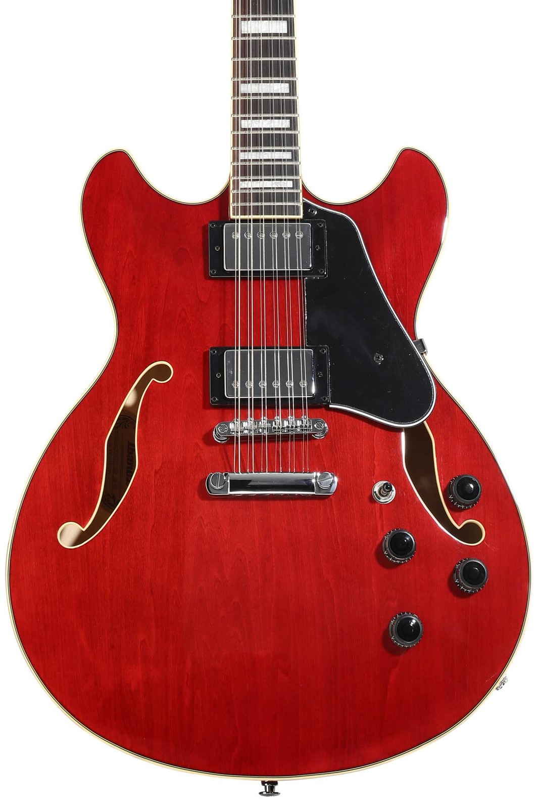 Ibanez AS7312TCD + Snark ST-8 + Dunlop PVP101 + Levy’s M8POLY-BLK Value Bun