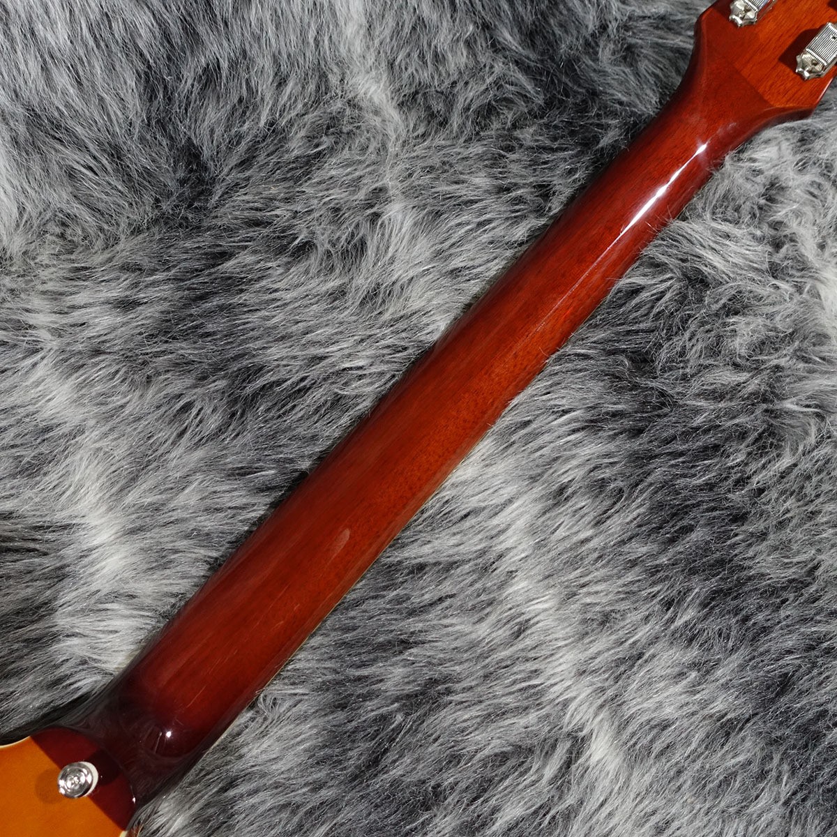 Riviera Frequensator Tailpiece Royal Tan