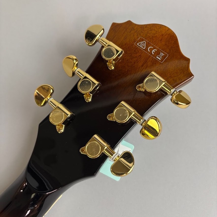 Ibanez AF95 Vls Used Electric Guitar