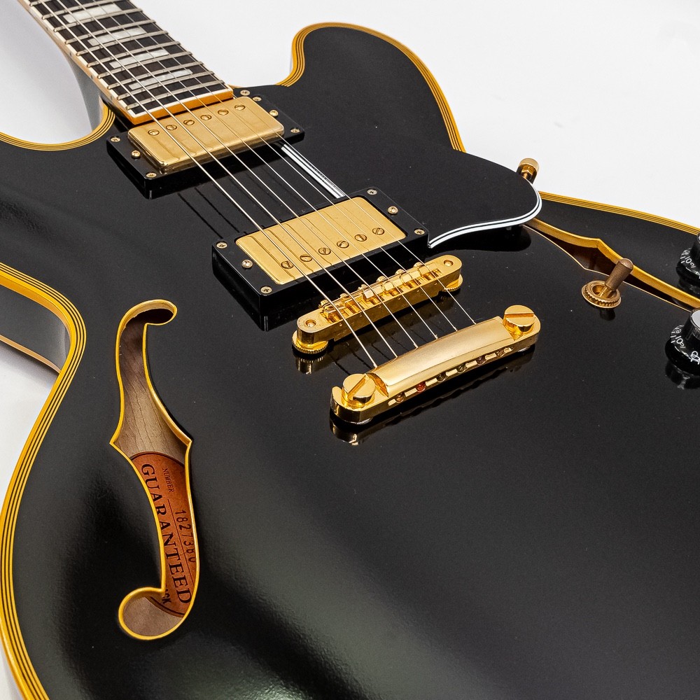 2018 Edwards E-SA-180LTC MIJ Semi Hollow Guitar w Case – Seymour Duncan Pickups